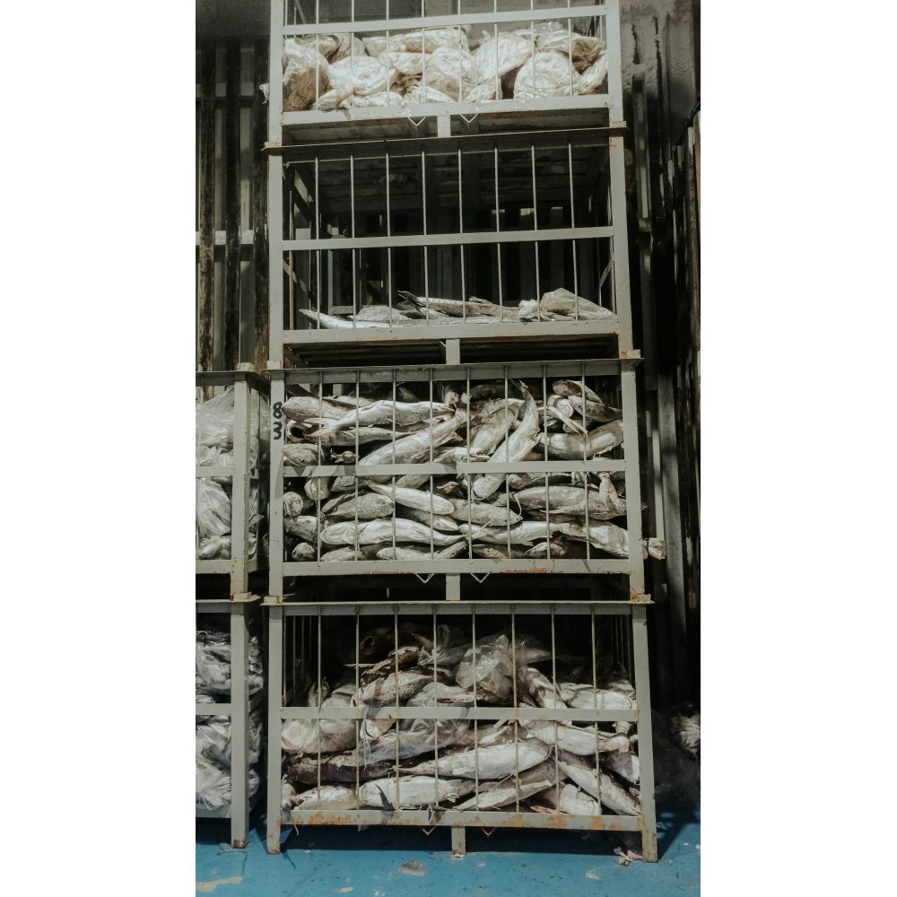Insulated cold room panels