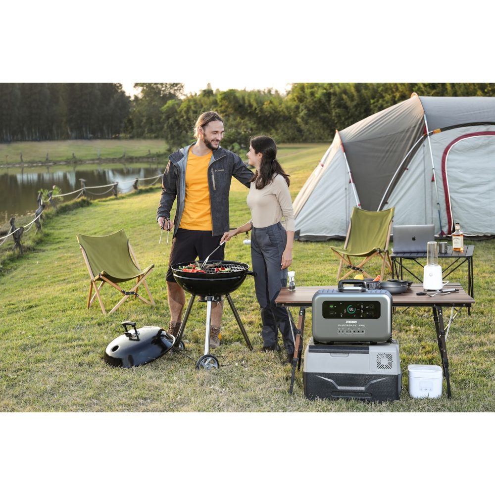 Large portable power station