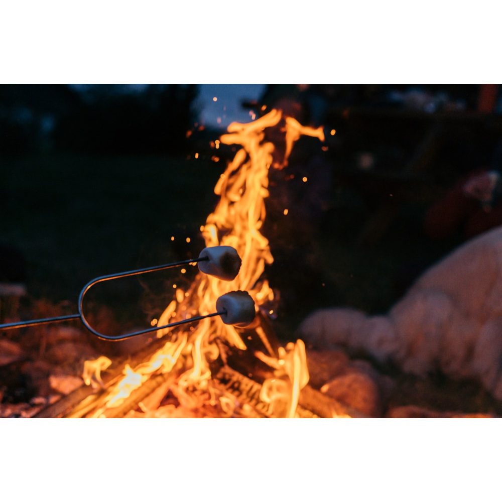 Campsite fire ring with grate
